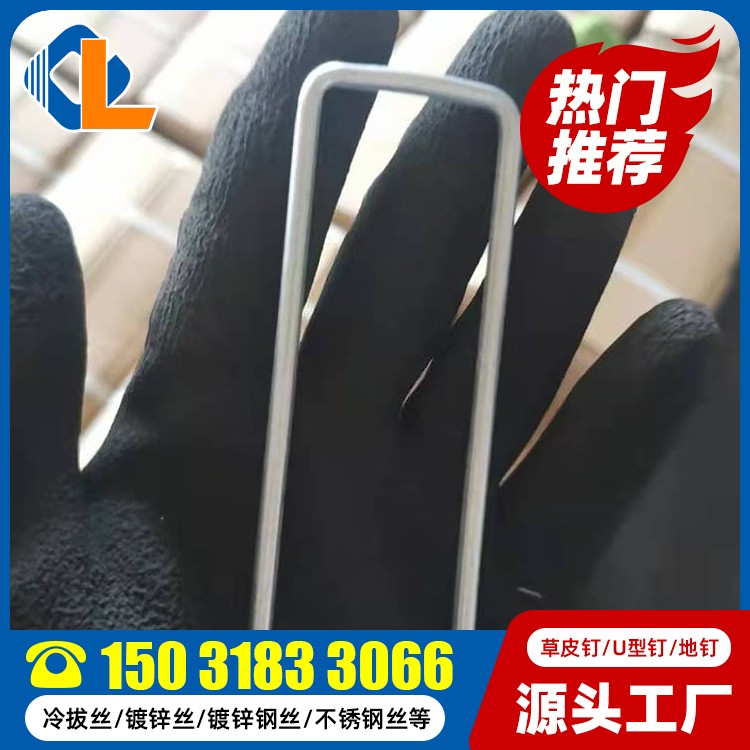 表面帶紋草坪釘 土工格柵固定草坪釘 草皮釘圖片 碳鋼草皮釘