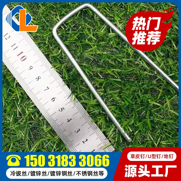 土工格柵草皮釘尺寸 土工格柵地釘規(guī)格 草坪釘價格 土工格柵草坪釘
